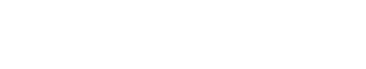 1280px-Damen_logo.wit Damen