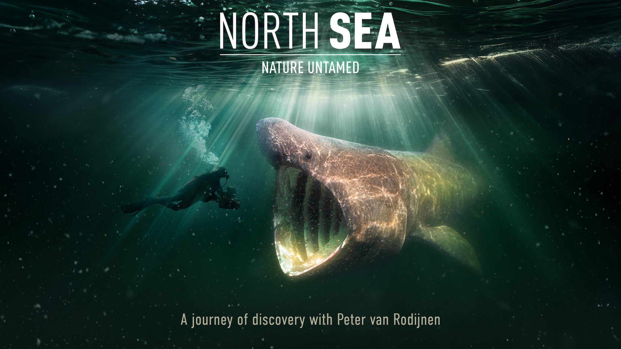 North Sea Nature Untamed - Film poster North Sea Nature Untamed - Film poster
