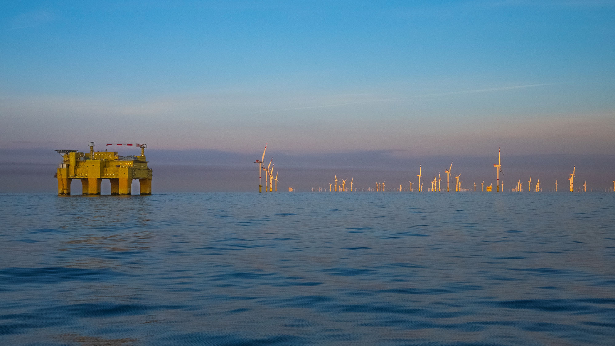 North Sea Untamed - © Dutch Maritime Productions