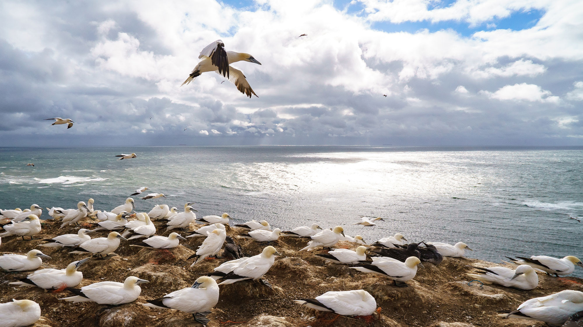 North Sea Untamed - © Dutch Maritime Productions