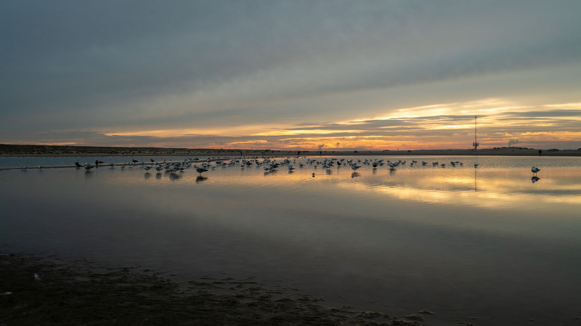 De Wilde Noordzee - © Dutch Maritime Productions